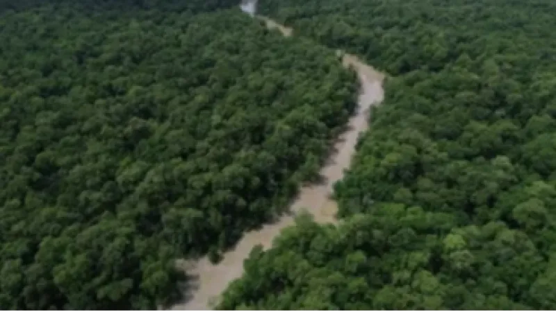 Emissões de gases de efeito de estufa caíram 17% no Brasil em 2024