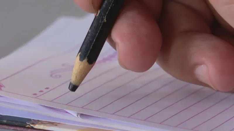 Alagoas tem maior taxa de analfabetismo do Brasil em 2024, aponta IBGE