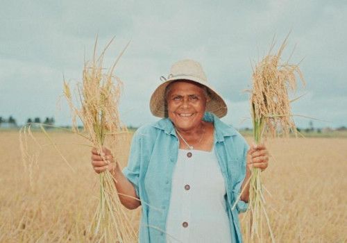 Agricultores familiares já podem se inscrever no Garantia-Safra 2025/2026