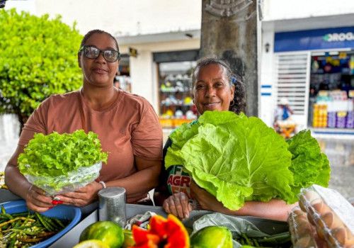 Feiras fortalecem agricultura familiar e celebram protagonismo feminino no campo