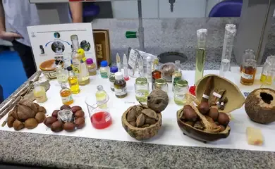 Centro desenvolve modelo de negócios com base na biodiversidade