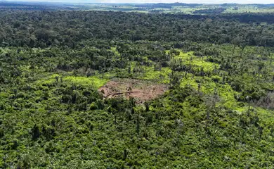 Indígenas karipuna denunciam aumento de invasores em sua terra
