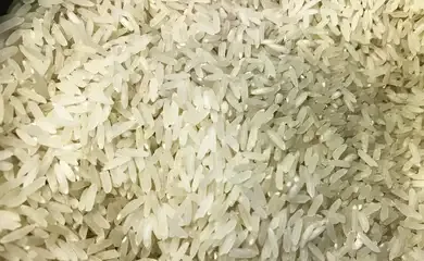 Justiça suspende leilão para compra de arroz importado
