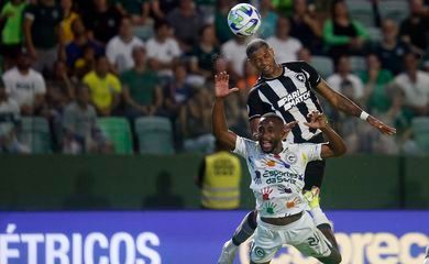 Líder Botafogo tenta retomar caminho das vitórias no Brasileiro