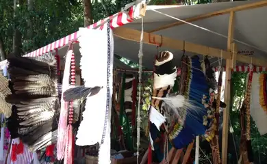 Festival de cultura indígena movimenta Brasília em dezembro