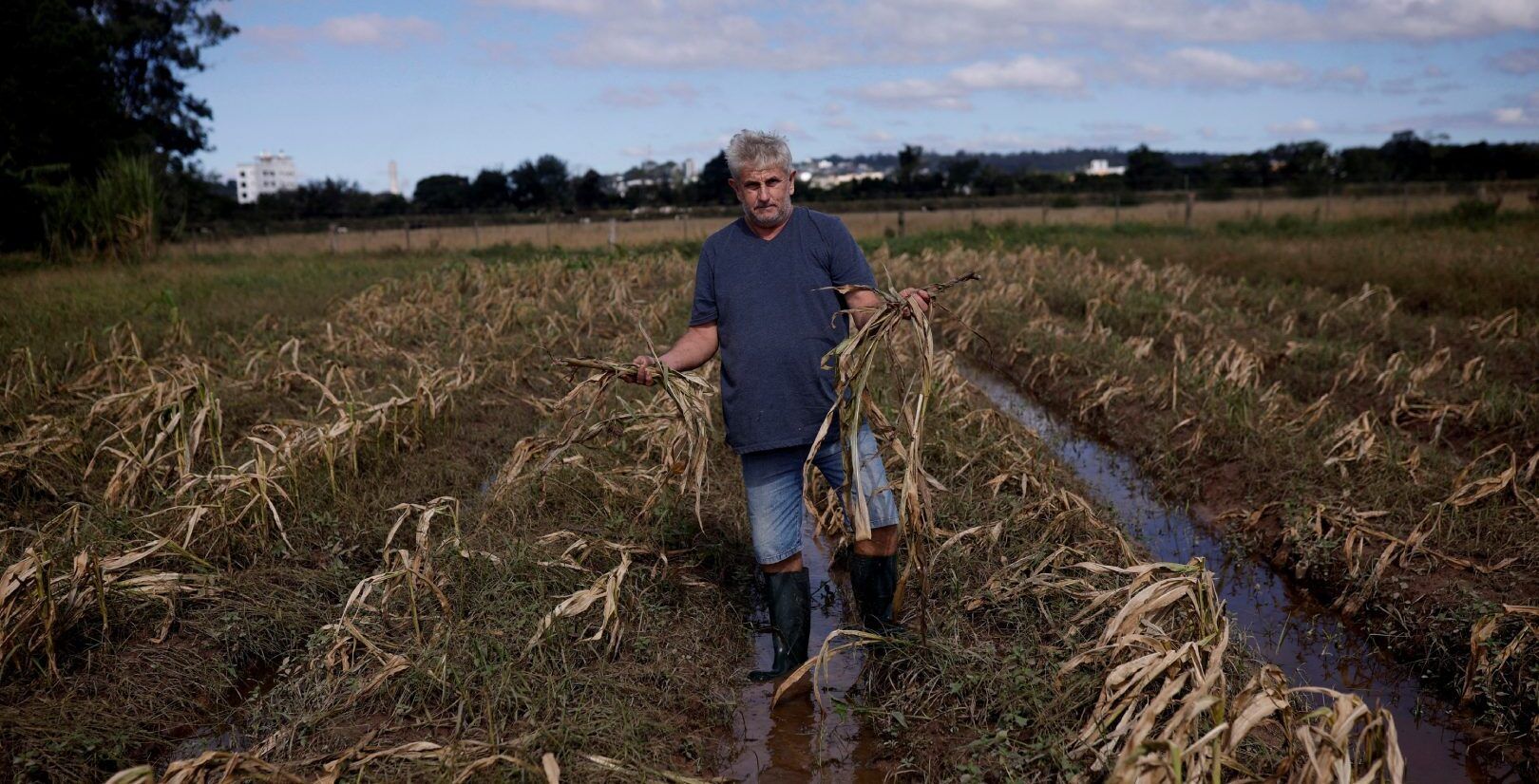 Fávaro: governo vai criar fundo garantidor para agropecuária do RS