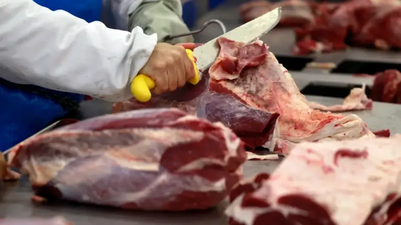 União Europeia veta compra de carne brasileira a partir de setembro
