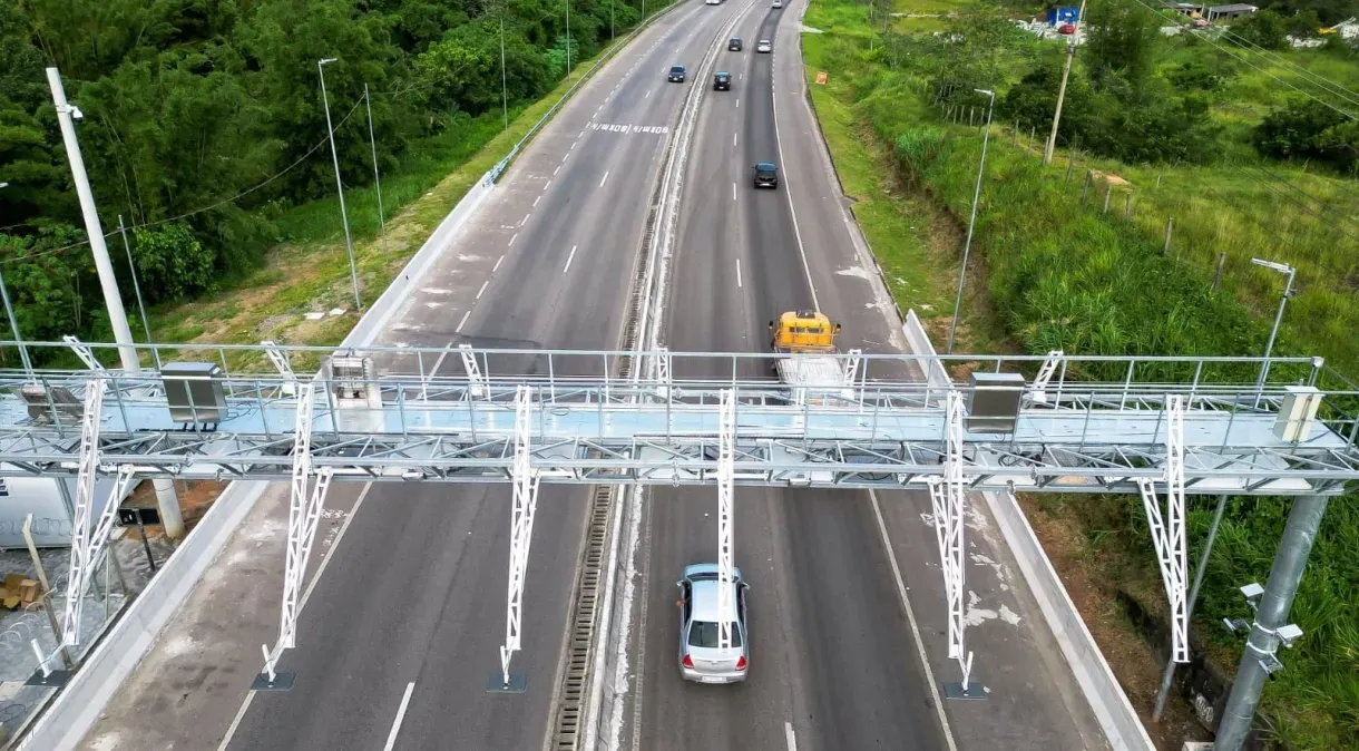 Motorista que não comunicar atropelamento de animal pagará multa, prevê projeto