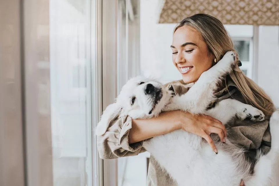 Brasileiros ocupam 2º lugar de tutores de pets mais felizes do mundo