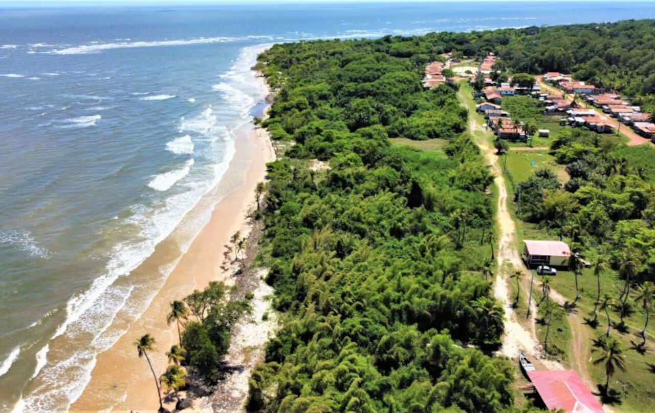 Onde fica o 1º refúgio verde do Brasil a entrar em lista global de áreas preservadas