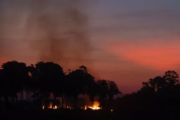 Queimadas no Brasil destruíram 21,8% do território em quase 4 décadas