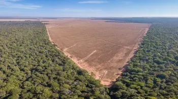 Perda histórica: Brasil teve um terço dos bens naturais devastados até 2023