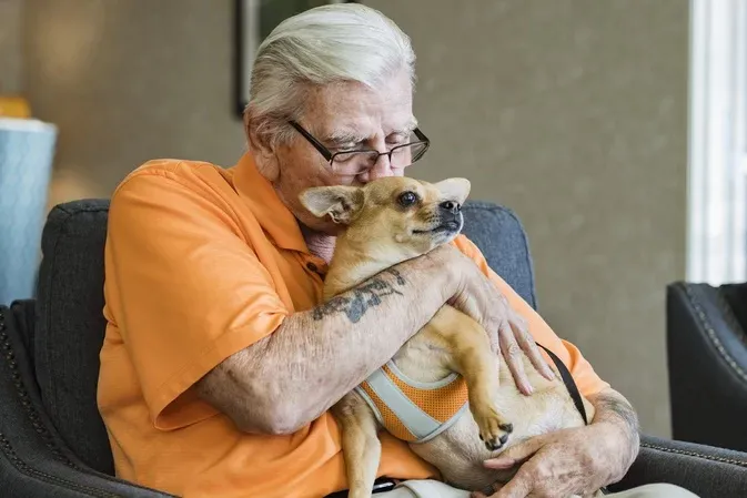 Idosos com cachorro têm 40% menos chances de demência, diz estudo
