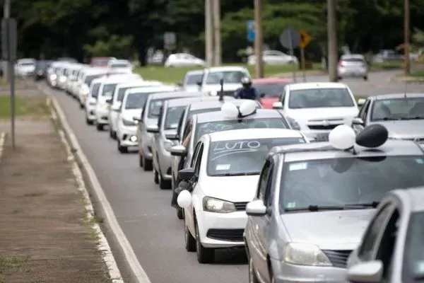 Projeto obriga motoristas de apps a transportarem animais domésticos