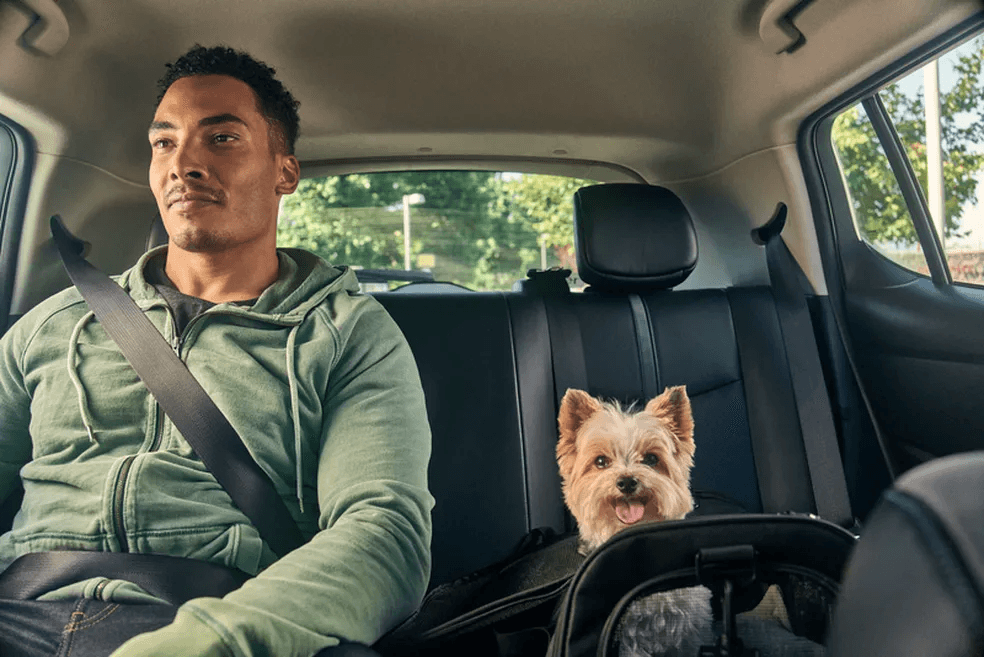 Uber Pet: app anuncia nova categoria no Brasil