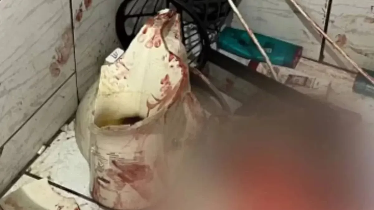 Vaso sanitário quebra e mulher é internada em UTI em Goiás