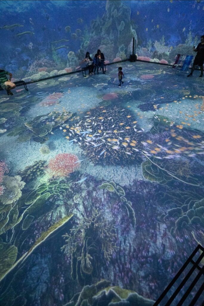 Shopping Pátio Maceió recebe espetáculo imersivo Oceano Vivo