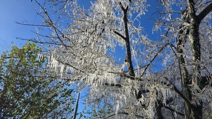 Que frio! Brasil registra menor temperatura do ano com -7,2º; saiba onde