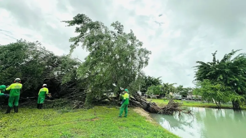 Prefeitura intensifica ações ambientais que minimizam riscos durante o período chuvoso