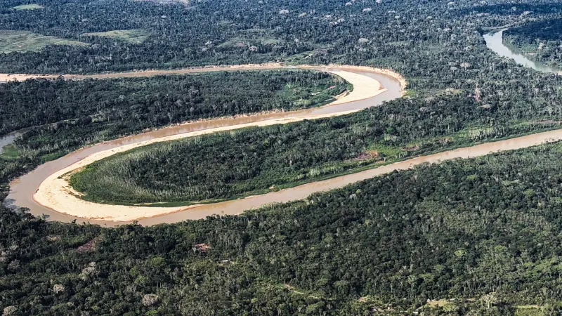 Holanda anuncia US$ 500 milhões em fundo florestal criado pelo Brasil