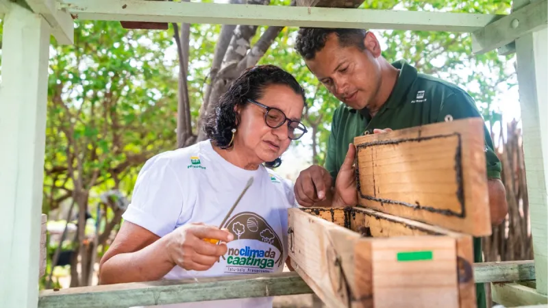 Associação Caatinga celebra em 3 de outubro o Dia Nacional da Abelha com foco no trabalho com meliponicultores