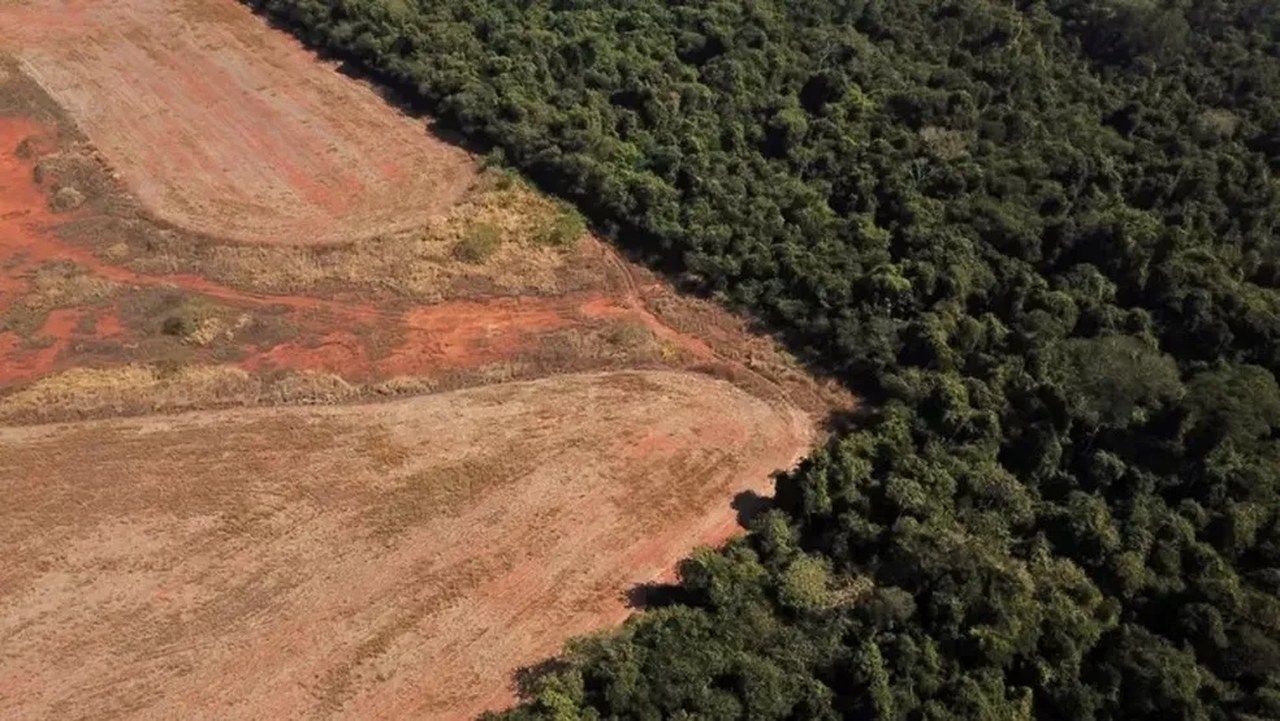 Reino Unido estuda entrada no Fundo Amazônia