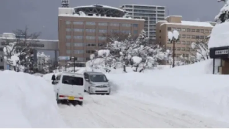 Nevascas deixaram 46 mortos no Japão