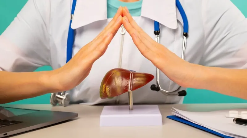 Gordura no fígado: hábitos que ajudam a reverter a esteatose hepática