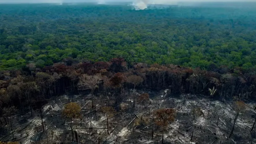Ao sugerir tarifas contra Brasil, governo Trump cita recorde de desmatamento em governo Bolsonaro