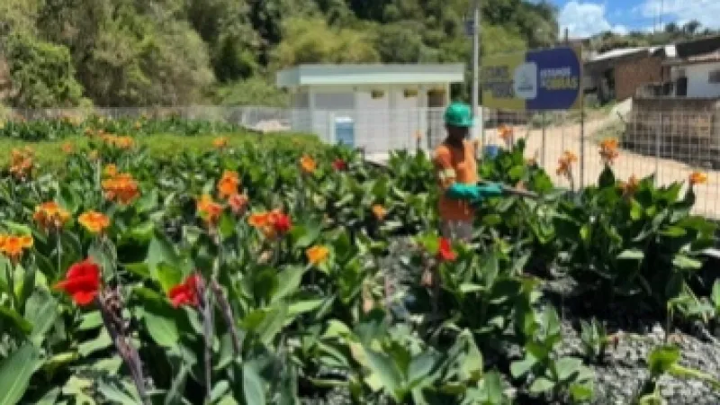 2025: o marco da requalificação ambiental e canalização do Renasce Salgadinho