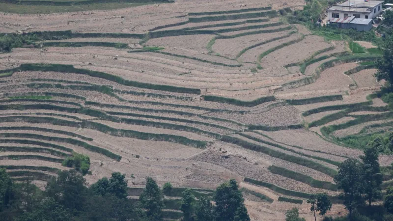 Agência da ONU alerta que forte El Niño deve se intensificar em agosto