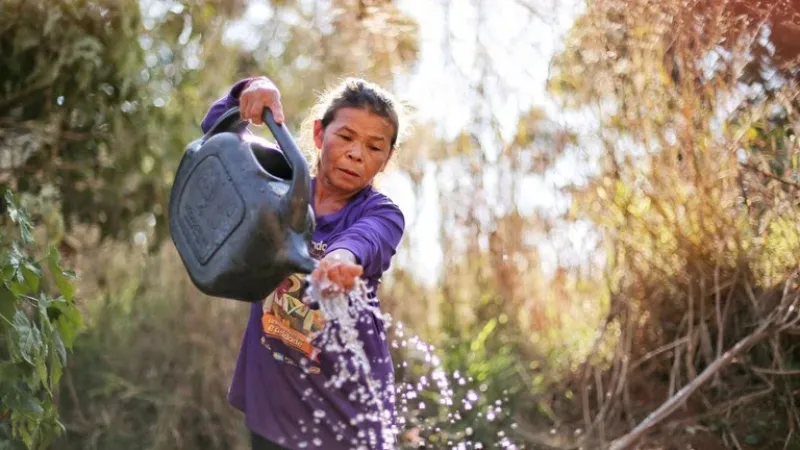 COP30: Governo do Brasil lança Marco de Sistemas Alimentares e Clima para as Políticas Públicas
