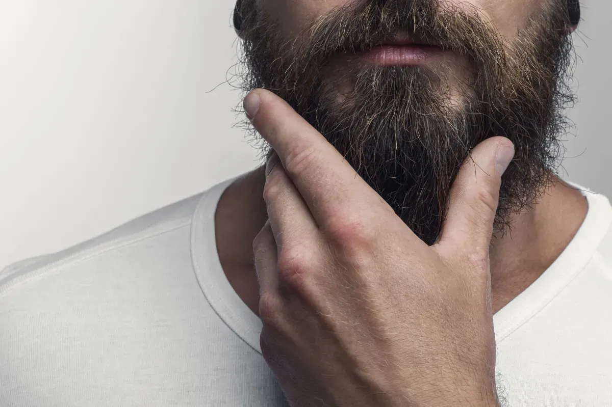 Barbas podem ter mais bactérias que privadas? Especialista responde