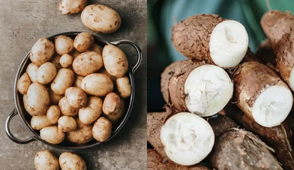 Batata ou mandioca? Veja qual é melhor para a saúde, segundo especialistas
