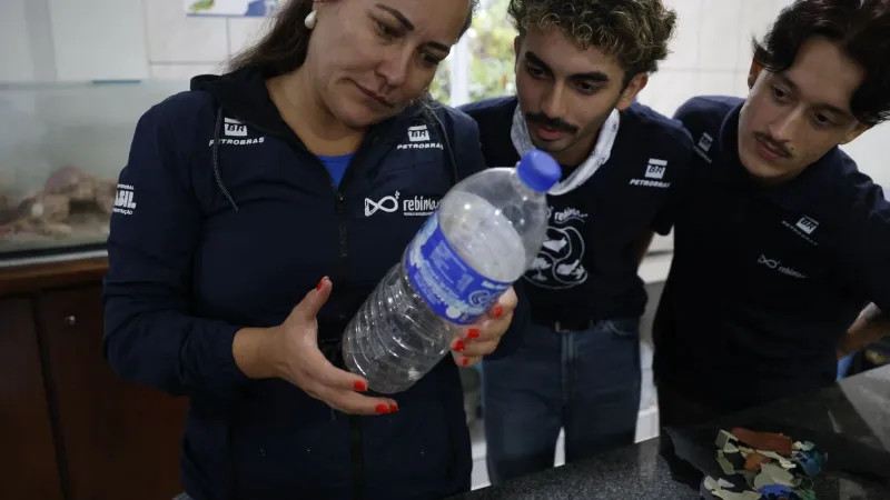 Mais de 93% dos peixes vendidos no litoral do Paraná têm microplástico