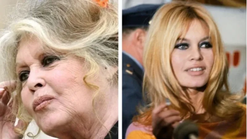 Revolução sexual, ativismo e opiniões contra imigrantes: quem foi Brigitte Bardot