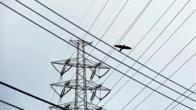 Tarifa de energia no Brasil terá bandeira verde em março, sem cobrança adicional