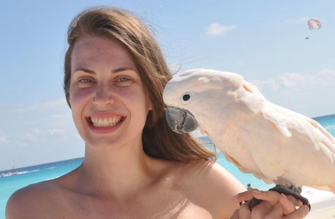 ‘A mãe foi que nem uma leoa para salvar os filhos,’ diz testemunha de queda de avião em Ubatuba