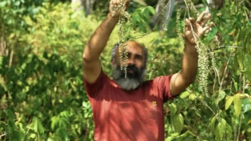 Secretário de Agricultura destaca geração de renda em produção agroecológica localizada em Maceió