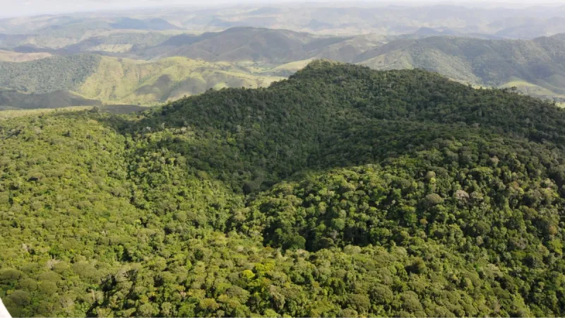Alagoas tem o menor índice de desmatamento do Nordeste