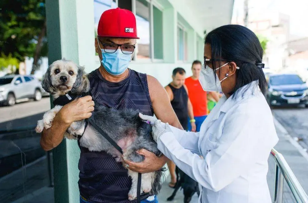 Vacinação contra raiva: veja onde imunizar cães e gatos em Maceió neste fim de semana