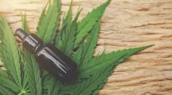 Brasil tem quase 700 mil pacientes que se tratam com cannabis