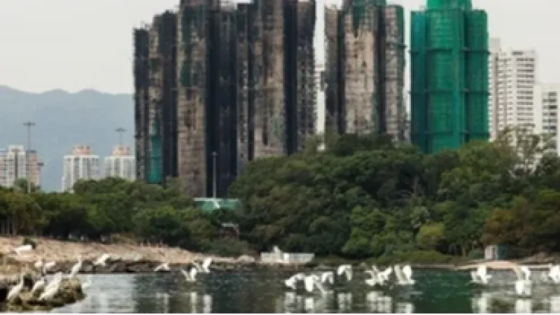 Treze pessoas são detidas por incêndio que deixou mais de 150 mortos em Hong Kong