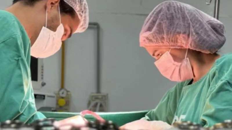 HGE inicia o fim de semana realizando captação de dois rins e um fígado para transplante