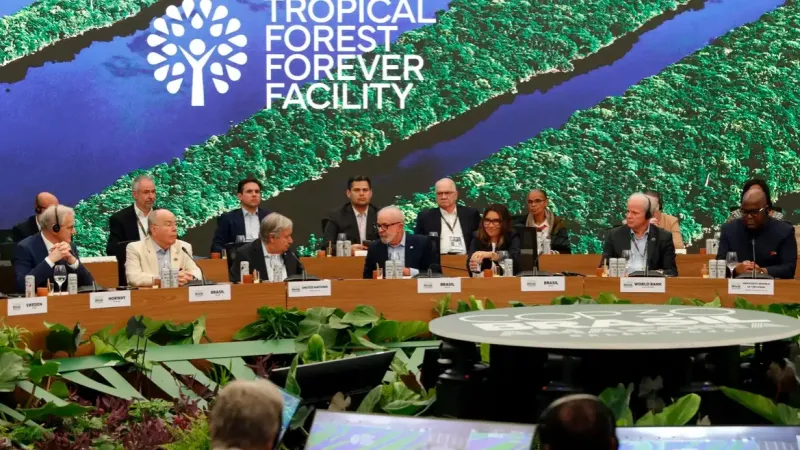 Fundo para florestas tropicais atinge aporte de US$ 5,5 bilhões