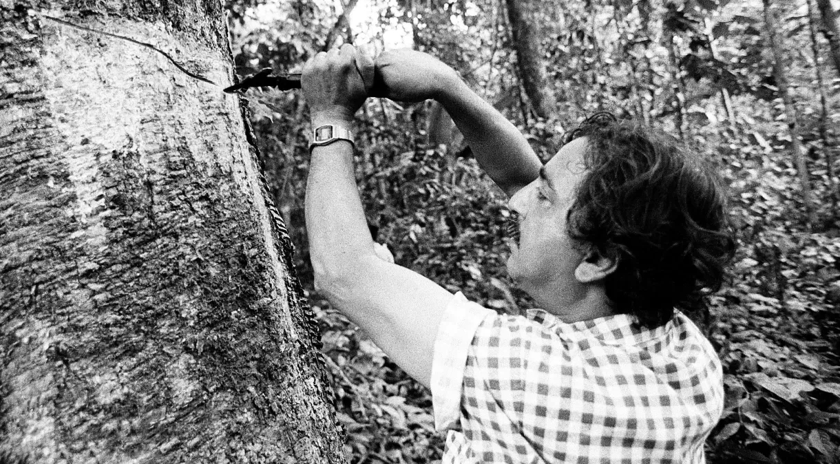 Saiba quem foi Chico Mendes, ativista ambiental assassinado há 35 anos