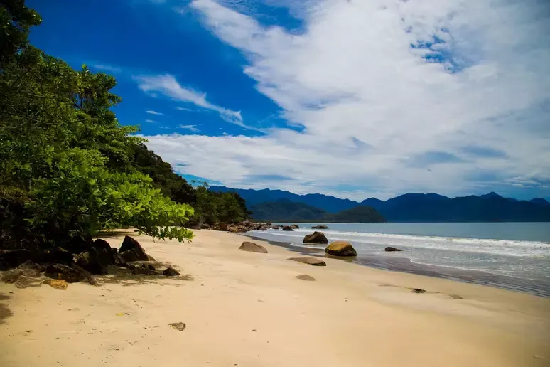 Como saber se a praia está própria para banho? O que pode torná-la imprópria?