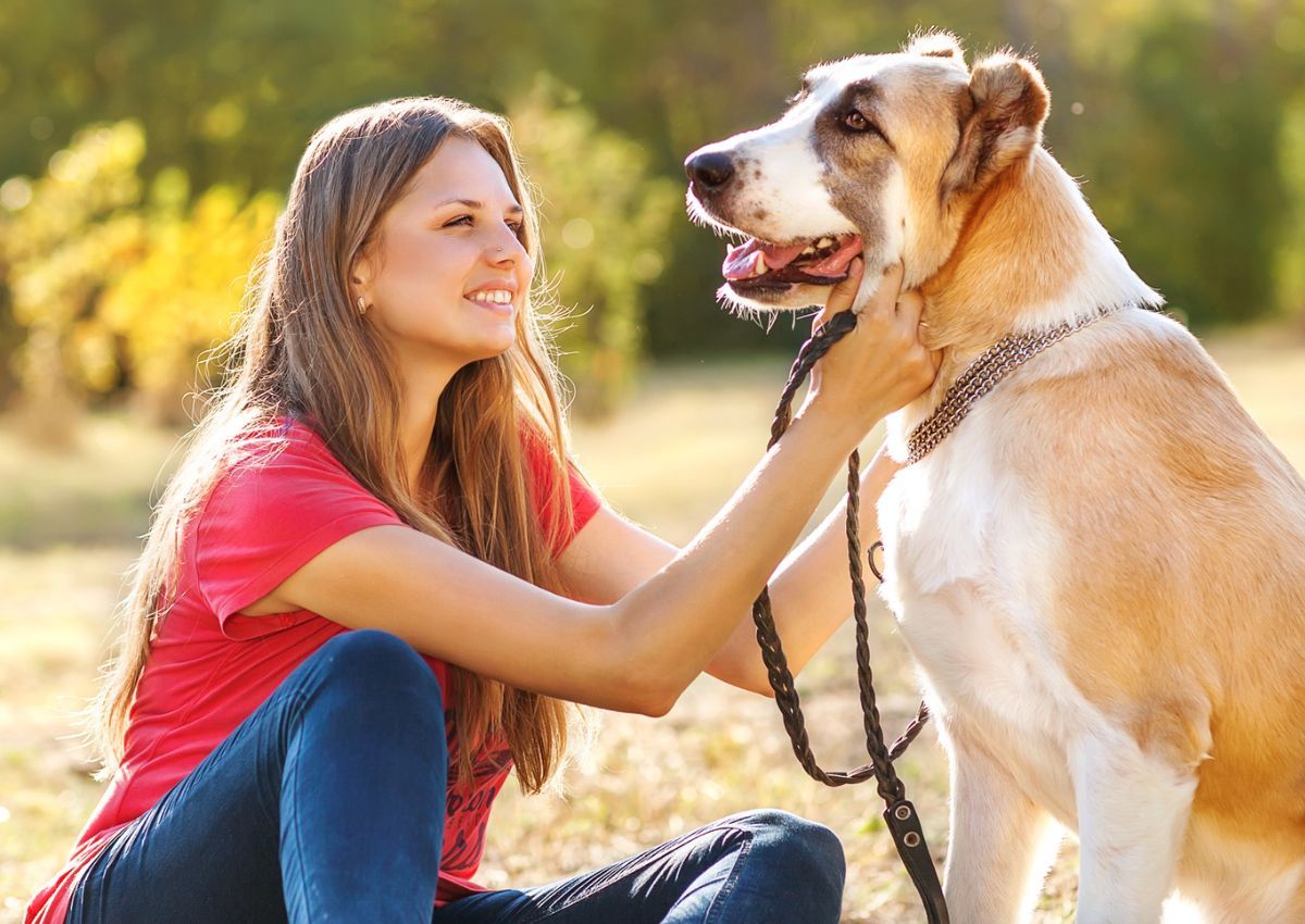 Essas 9 curiosidades incríveis sobre os cães vão te surpreender