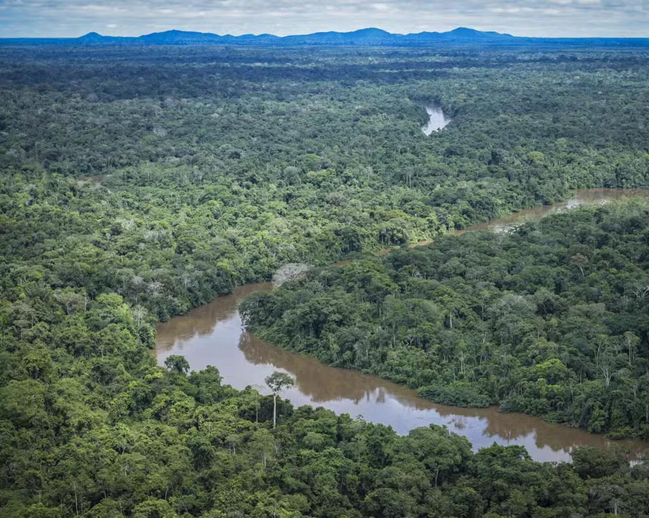 Financiamento climático é destaque na COP 30 Amazônia