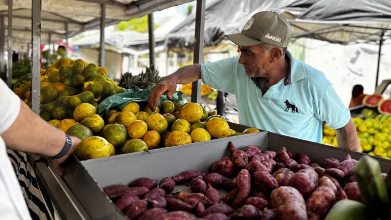 Rota do Circuito Regional de Feiras da Agricultura Familiar vai destacar potencial produtivo e turístico